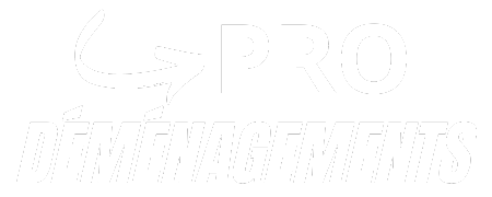 Pro Déménagements – Experts en déménagements professionnels et particuliers